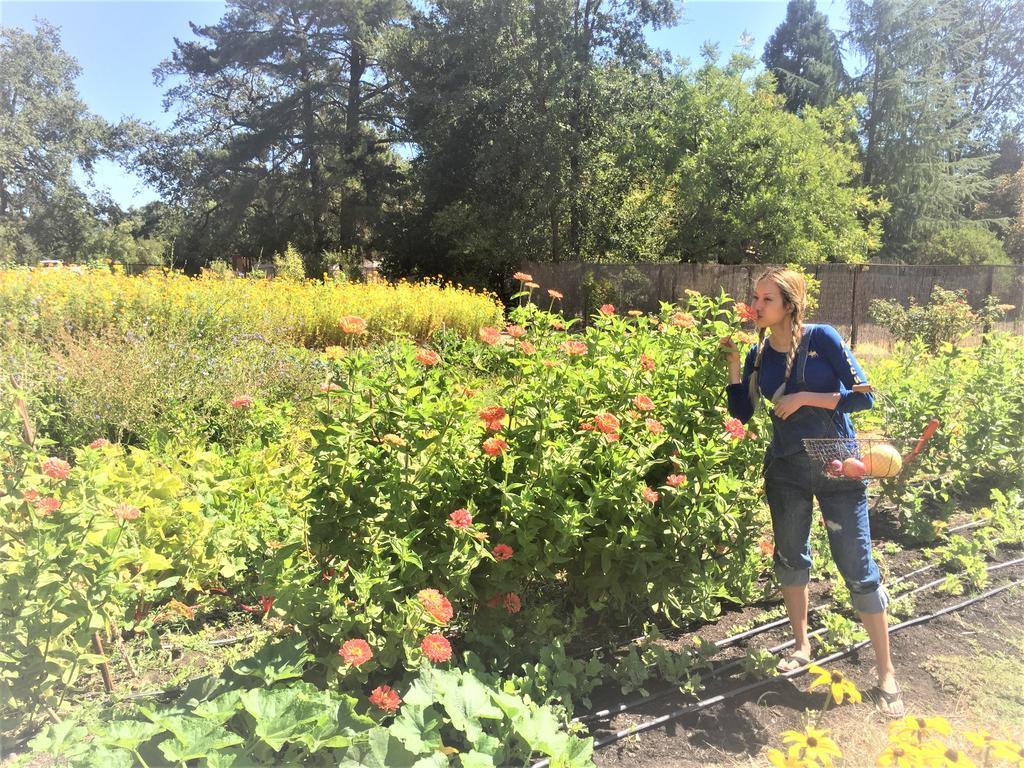 Napa Farmhouse Inn Сент-Гелена Екстер'єр фото